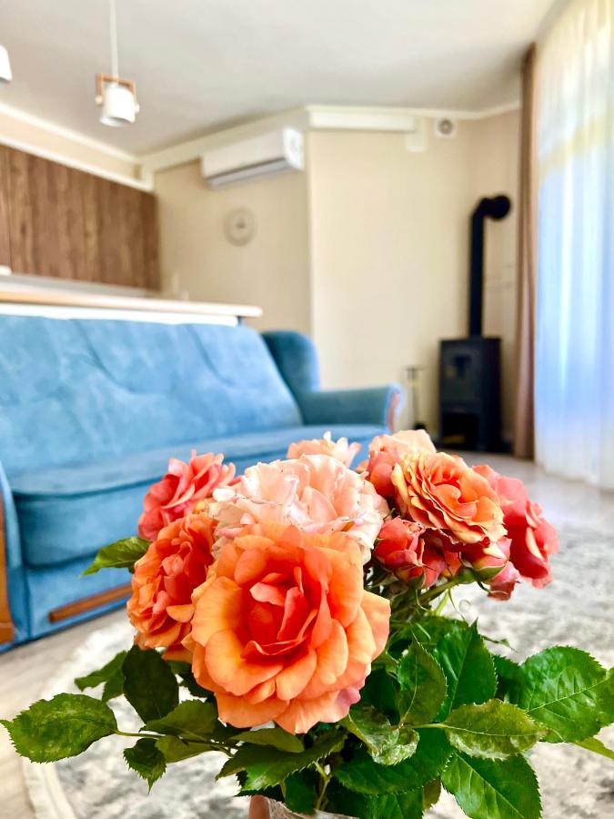Авіа Daire Ujgorod Dış mekan fotoğraf